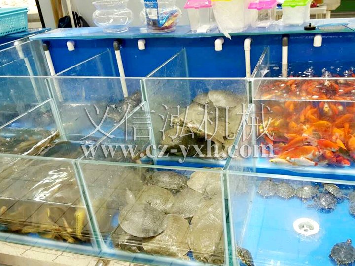超市鱼缸
