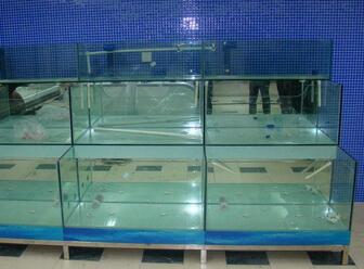 常见的鱼缸过滤系统有哪些