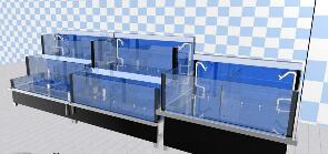 如何对观赏型鱼缸进行养水处理