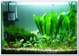 哪几个方面的因素会影响鱼缸的销售价格