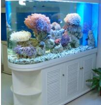 鱼缸厂家解析家庭鱼缸正确的摆放位置