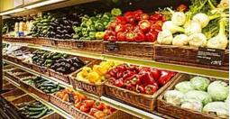 根据蔬菜形状的不同如何在超市蔬菜架中进行正确的摆放