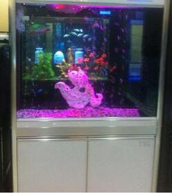 鱼缸厂家粘缸处理三部曲