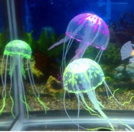 鱼缸维护养护内容及其大概市场价位