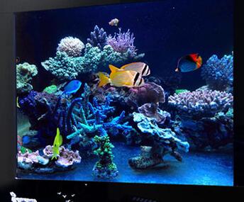 鱼缸里面的水浑浊了怎么办