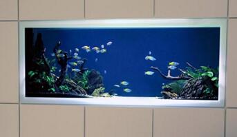 在家里安装镶嵌式鱼缸时需要注意哪些地方