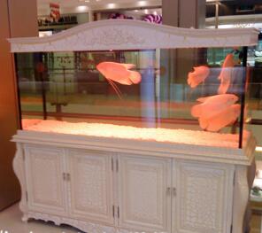 在客厅中摆放鱼缸有哪几点需要注意