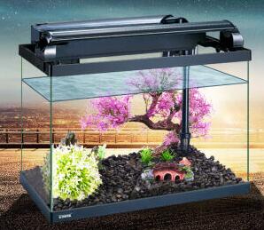 怎么样能降低鱼缸的噪音