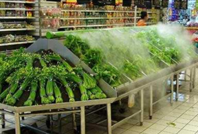 蔬菜架保养时要注意哪些问题及避免方法