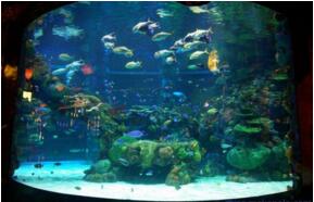 家用生态鱼缸常用的款式有哪些