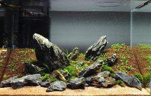 鱼缸溢流系统怎么设计才不影响外观