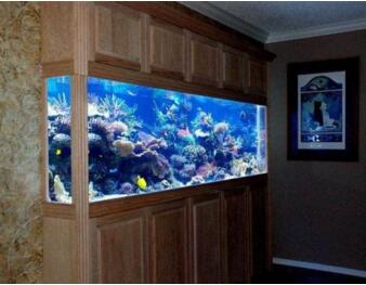 如何对鱼缸进行局部换水操作