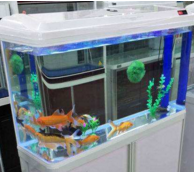 鱼缸过滤材料——生物滤材过滤介质