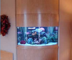 生态鱼缸定制涉及到的服务与安装