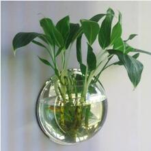 壁挂式鱼缸能够让你的家居办公环境脱颖而出