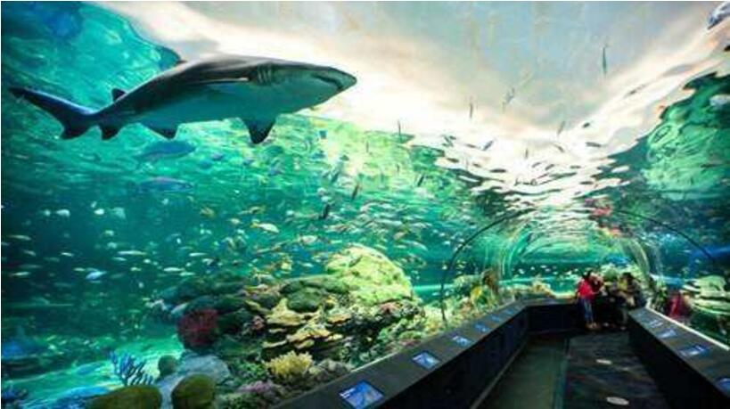 水族馆的造景设计与定制服务